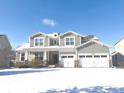 3907 Nannyberry Street Naperville IL 60564