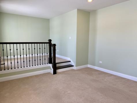 3907 Nannyberry Street Naperville IL 60564