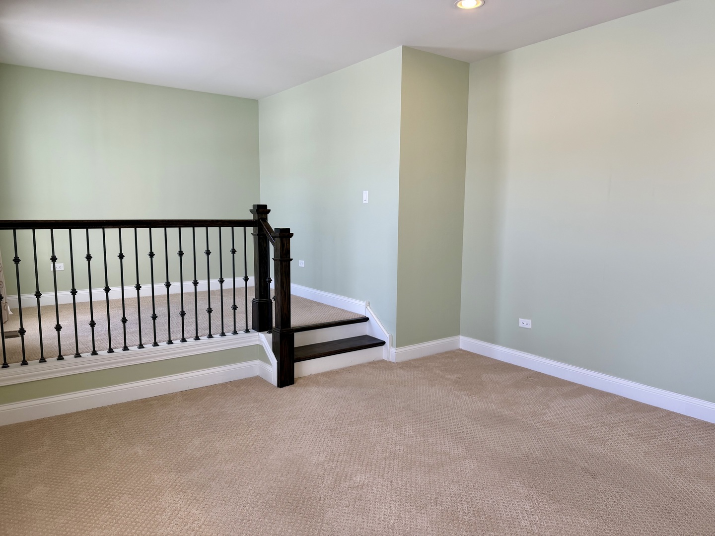 3907 Nannyberry Street Naperville IL 60564