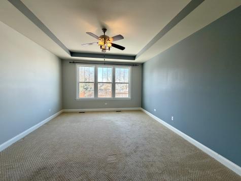3907 Nannyberry Street Naperville IL 60564