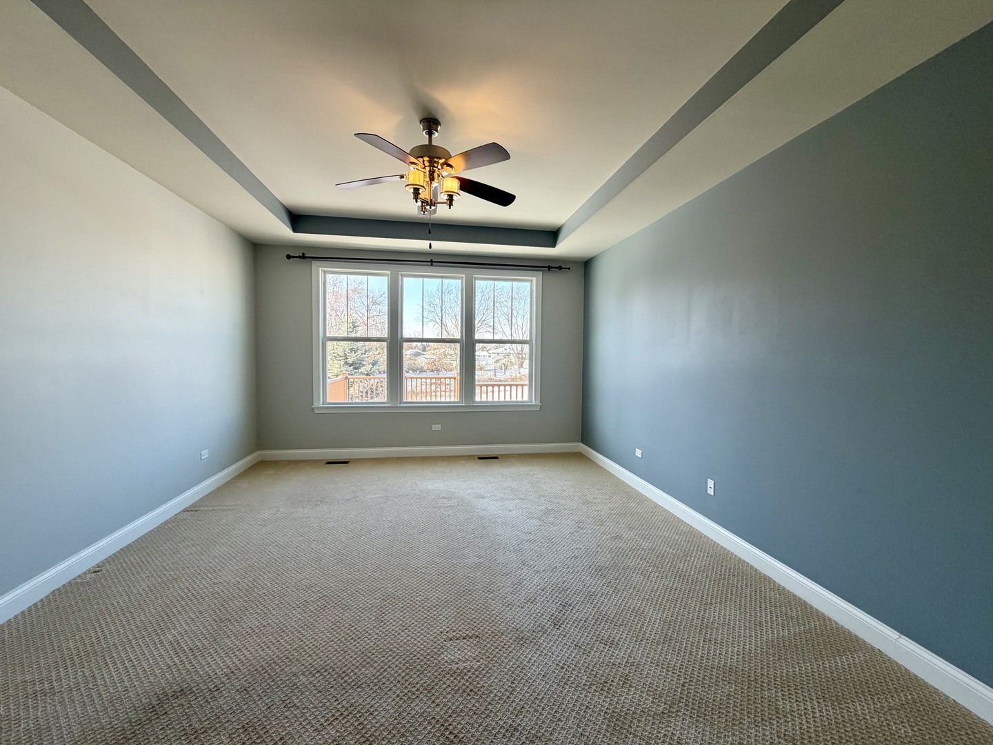 3907 Nannyberry Street Naperville IL 60564