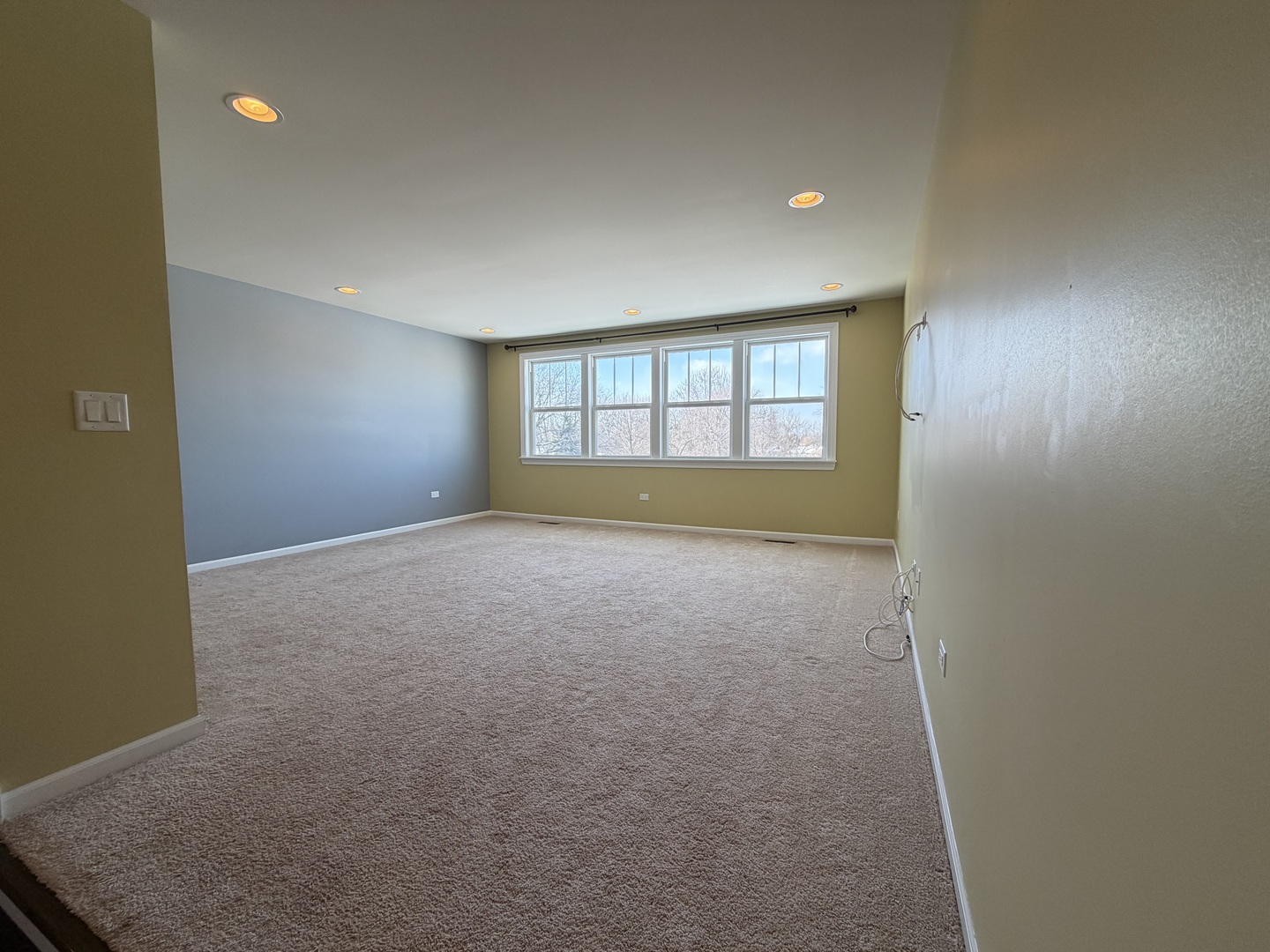 3907 Nannyberry Street Naperville IL 60564