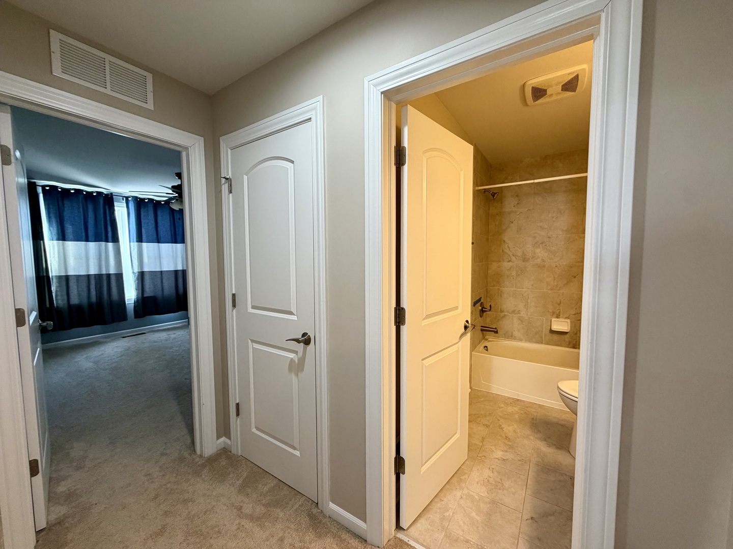 3907 Nannyberry Street Naperville IL 60564
