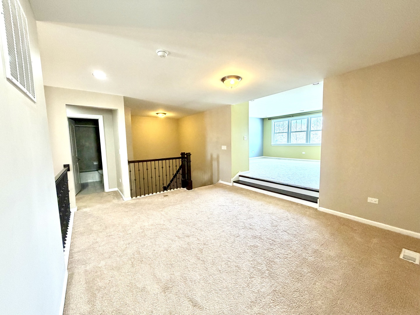 3907 Nannyberry Street Naperville IL 60564