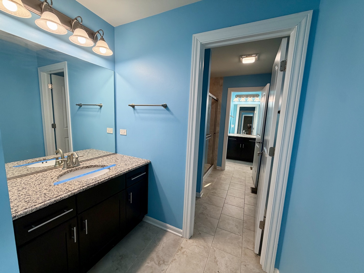 3907 Nannyberry Street Naperville IL 60564