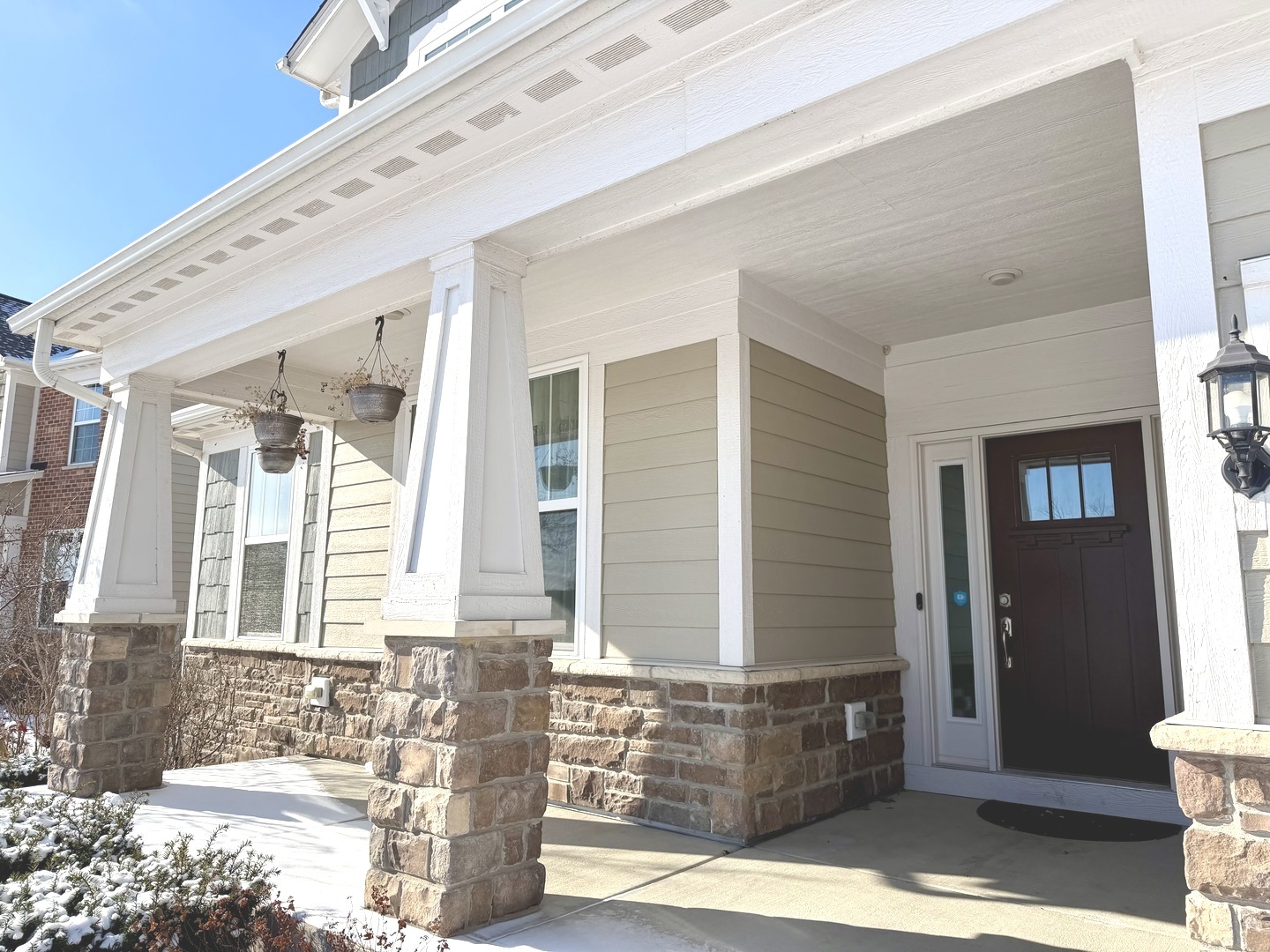 3907 Nannyberry Street Naperville IL 60564