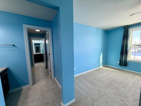 3907 Nannyberry Street Naperville IL 60564