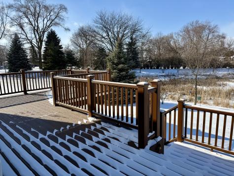 3907 Nannyberry Street Naperville IL 60564