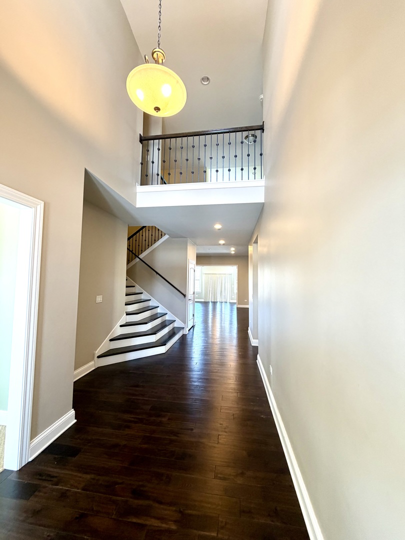 3907 Nannyberry Street Naperville IL 60564