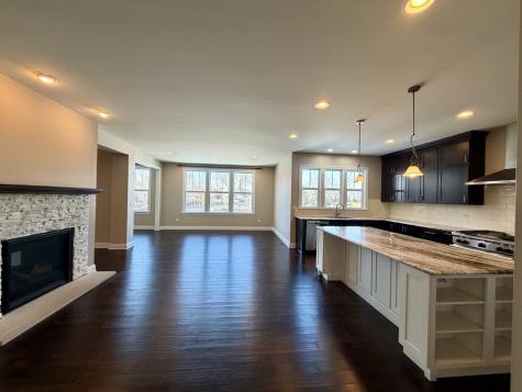 3907 Nannyberry Street Naperville IL 60564