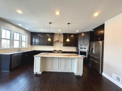 3907 Nannyberry Street Naperville IL 60564
