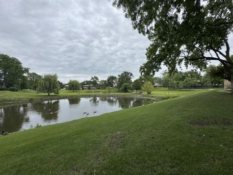 7303 Grand Avenue Downers Grove IL 60516