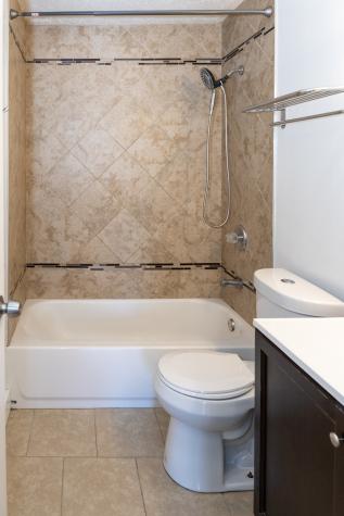1169 South Plymouth Court Chicago IL 60605