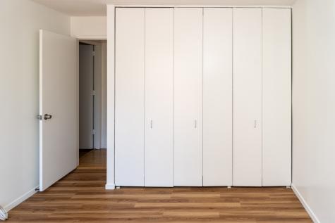 1169 South Plymouth Court Chicago IL 60605