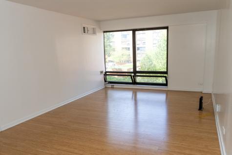 1169 South Plymouth Court Chicago IL 60605