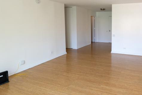 1169 South Plymouth Court Chicago IL 60605