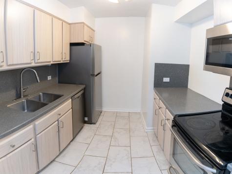 1169 South Plymouth Court Chicago IL 60605