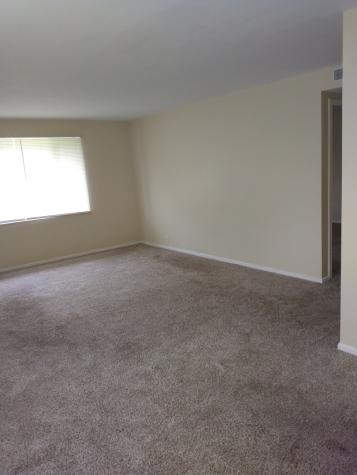 3484 Western Avenue Park Forest IL 60466
