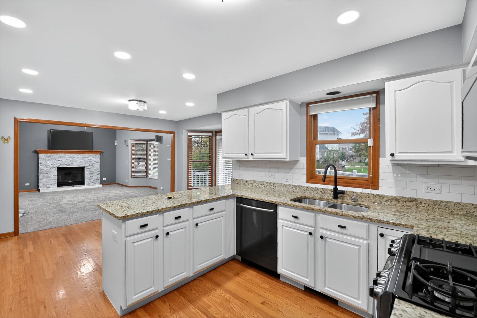 1163 Shoreline Drive Aurora IL 60504