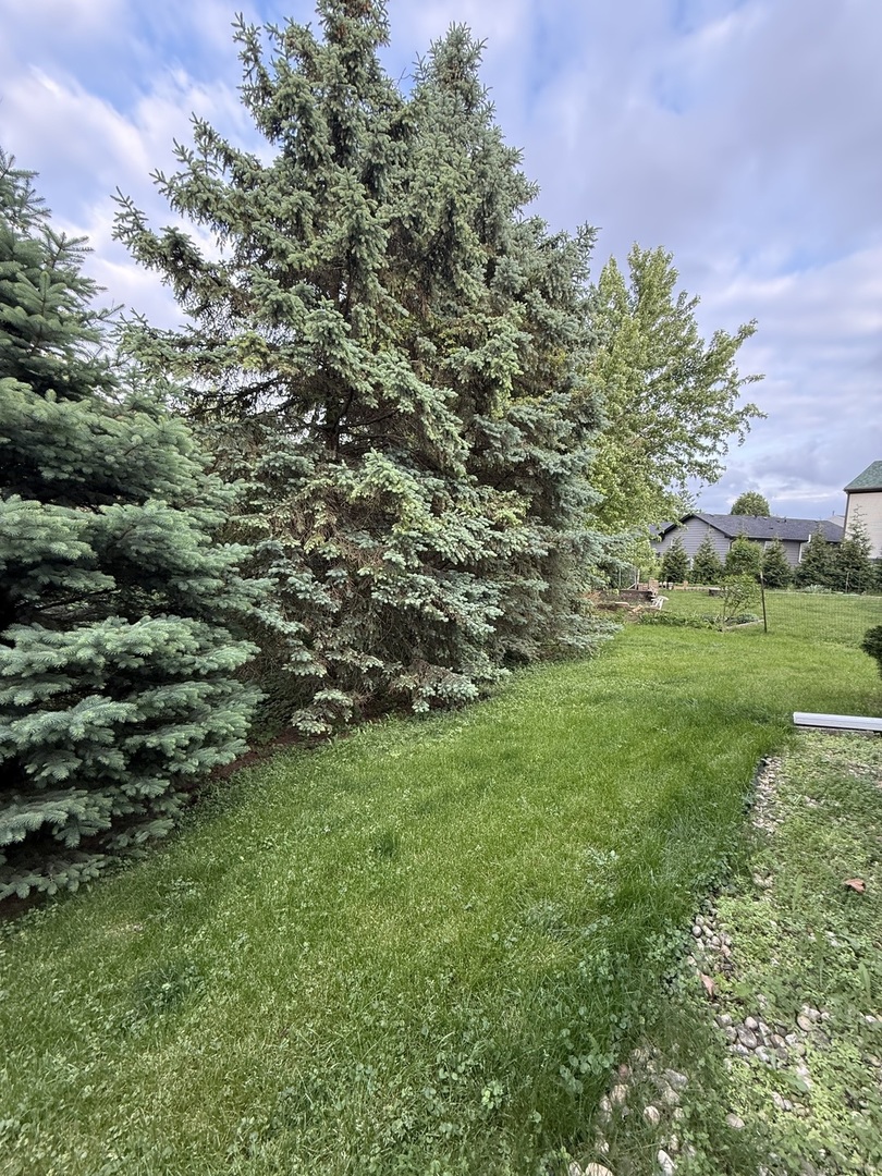305 Elwood Court Westmont IL 60559