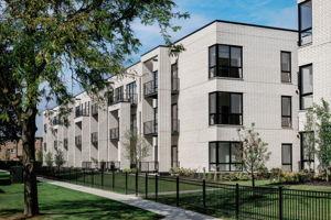 8040 West O'connor Drive River Grove IL 60171