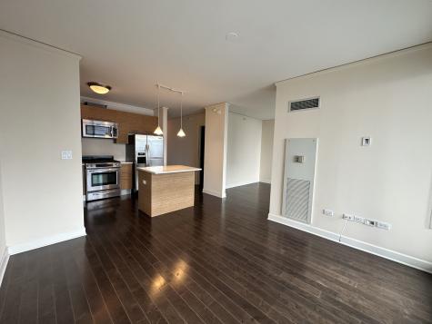 225 North Columbus Drive Chicago IL 60601