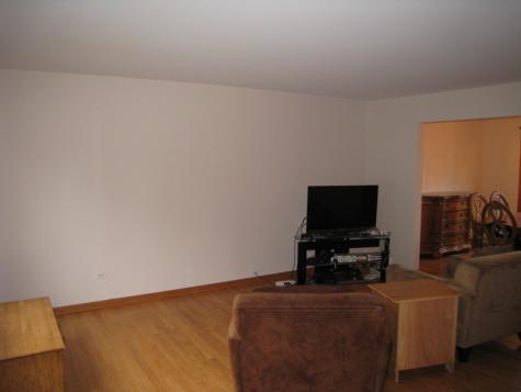 706 North Point Drive Schaumburg IL 60193