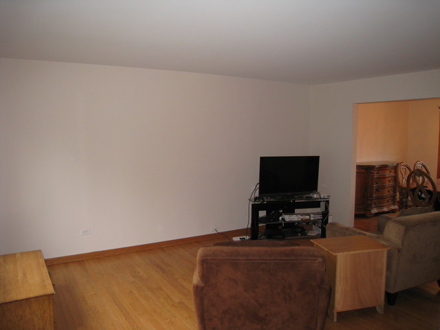 706 North Point Drive Schaumburg IL 60193