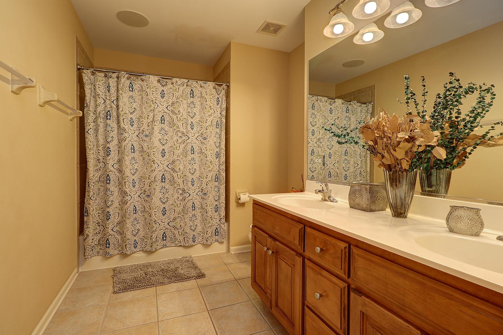 26025 Whispering Woods Circle Plainfield IL 60585