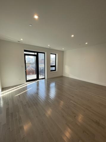 719 North Elizabeth Street Chicago IL 60642