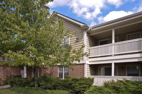 50 Wisteria Lane Schaumburg IL 60173