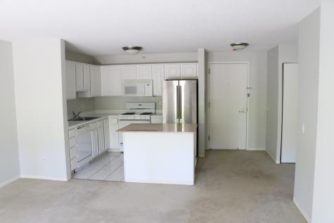 545 North Dearborn Street Chicago IL 60654