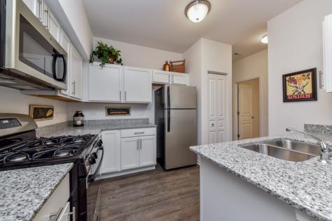 1060 Kilbery Lane North Aurora IL 60542