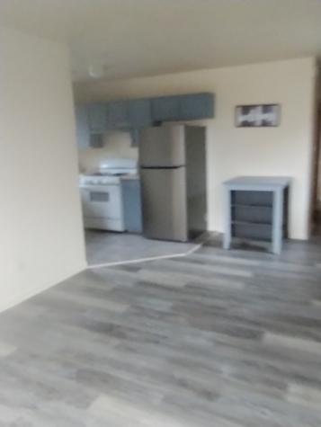 6955 South Normal Street Chicago IL 60621