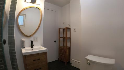 4219 North Albany Avenue Chicago IL 60618