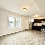1245 North Karlov Avenue Chicago IL 60651