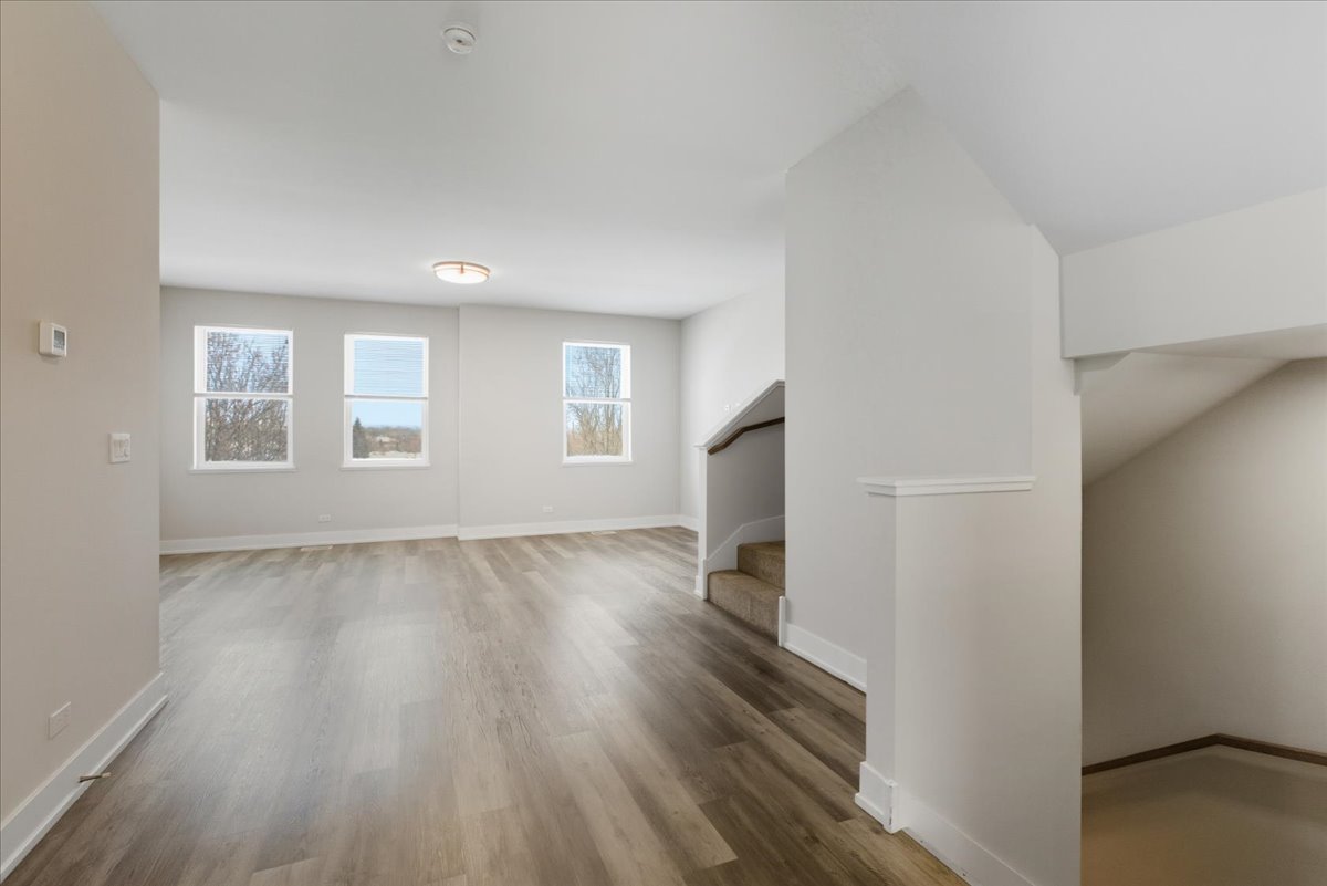 10617 Alice Mae Court Orland Park IL 60462