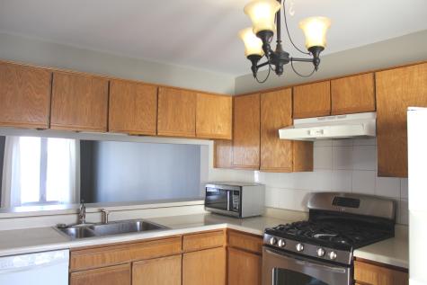 393 Catbird Lane Deerfield IL 60015