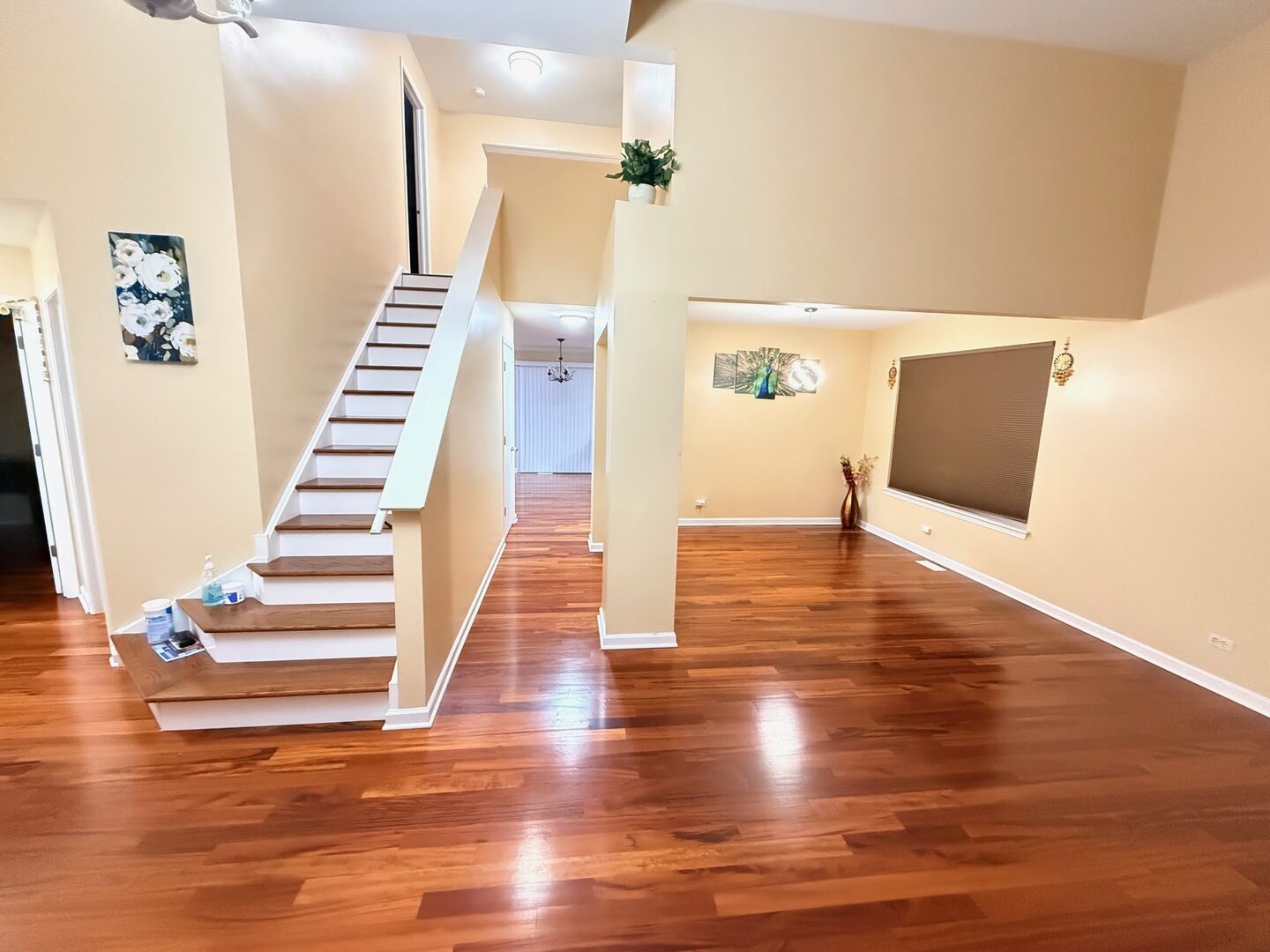 3161 Hopewell Drive Aurora IL 60502