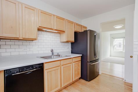 1217 North Village Drive Round Lake Beach IL 60073