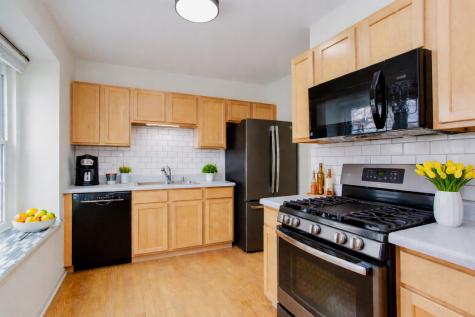 1217 North Village Drive Round Lake Beach IL 60073