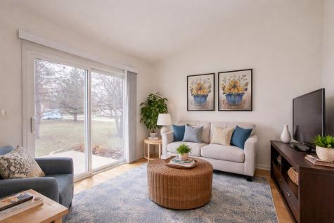 1217 North Village Drive Round Lake Beach IL 60073