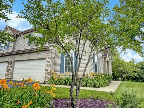 1089 Ellsworth Drive Grayslake IL 60030