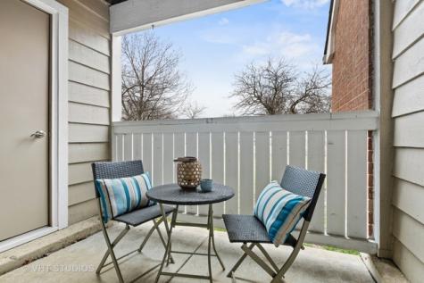 120 Aster Drive Schaumburg IL 60173