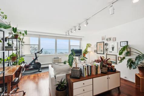 1150 North Lake Shore Drive Chicago IL 60611
