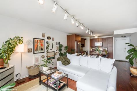 1150 North Lake Shore Drive Chicago IL 60611