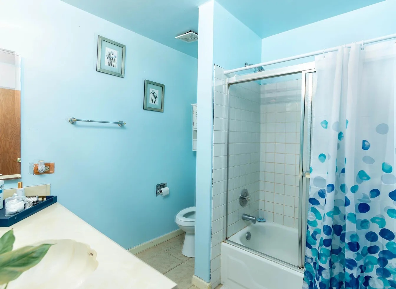2120 Brittany Court Glendale Heights IL 60139