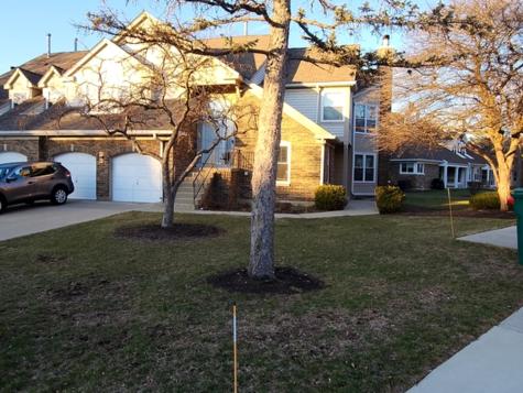 225 Willow Parkway Buffalo Grove IL 60089