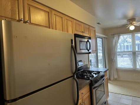 1310 Cromwell Court Vernon Hills IL 60061