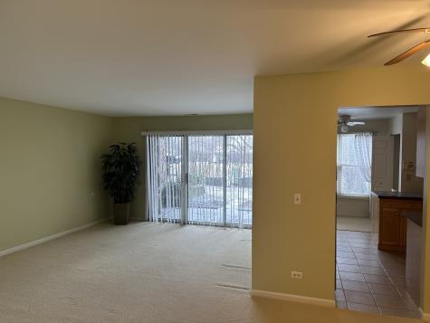 1310 Cromwell Court Vernon Hills IL 60061